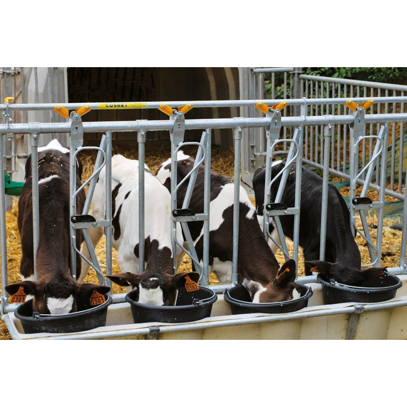 5 buckets/2,5 m Bucket holder with integrated PE feed trough