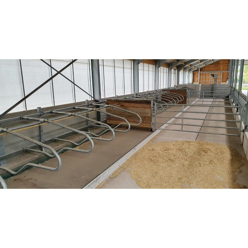 EUROPE cubicle divider for heifers L.1450 x h. 540 mm