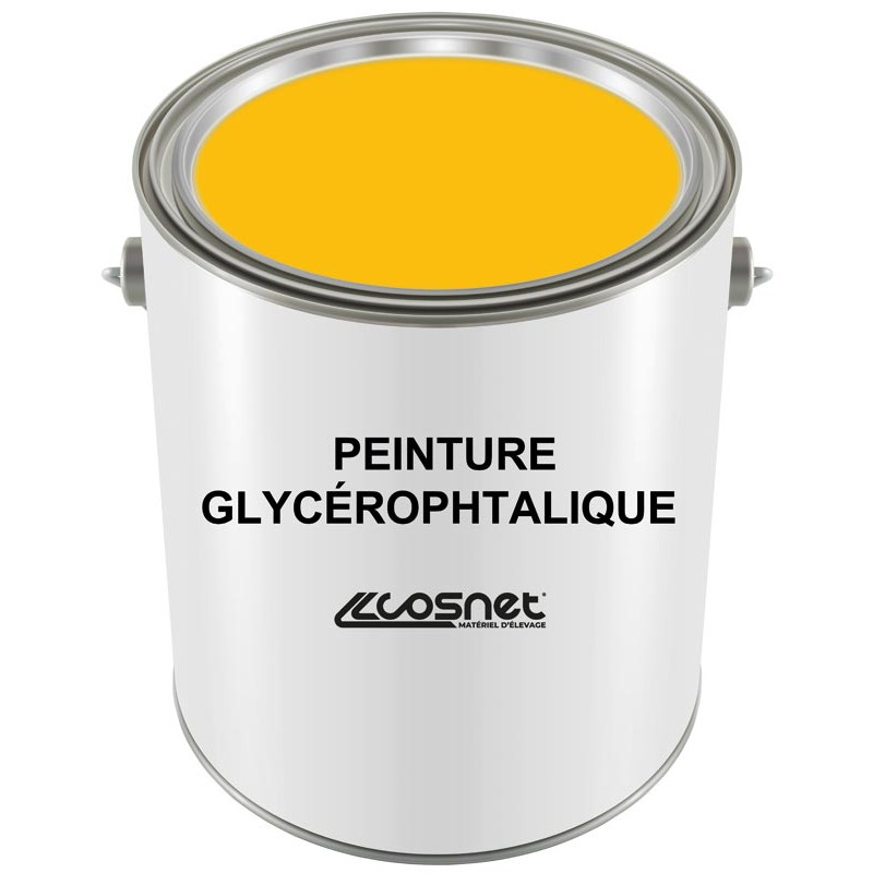 Glycerophthalic paint