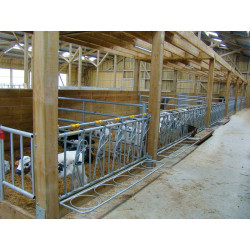 5 places/2.5 m JUNIOR COMFORT SR calf headlock panel without bucket holder
