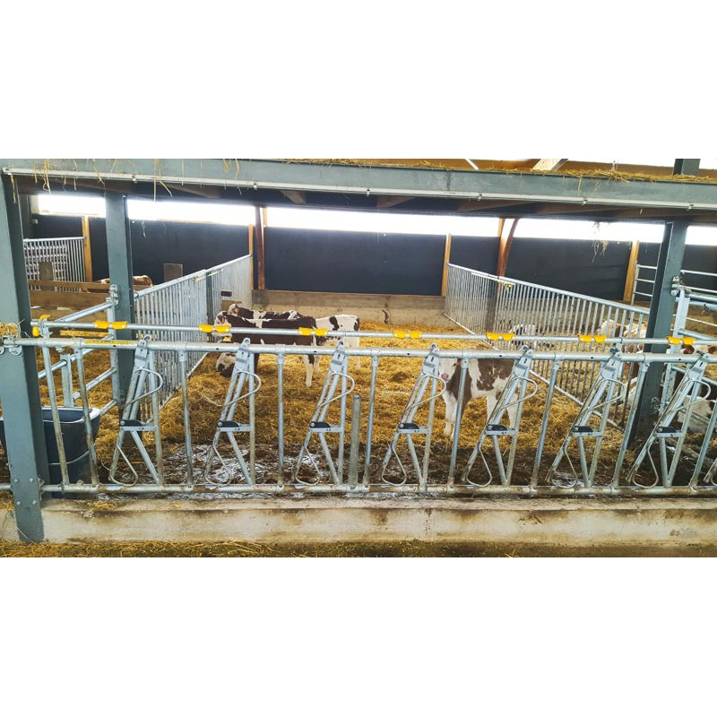 6 places/3 m JUNIOR COMFORT SR calf headlock panel without bucket holder 6 places/3 m JUNIOR COMFORT SR calf headlock panel without bucket holder