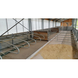 EUROPE cubicle divider for heifers L.1450 x h. 540 mm