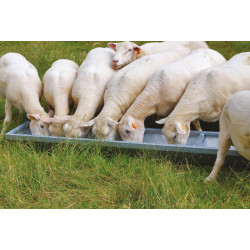 Feed trough for small animals  - 2,45 x 0,33 m Feed trough for small animals  - 2,45 x 0,33 m
