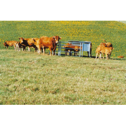 Scalable 3 m feeder - 1,000 l Scalable 3 m feeder - 1,000 l