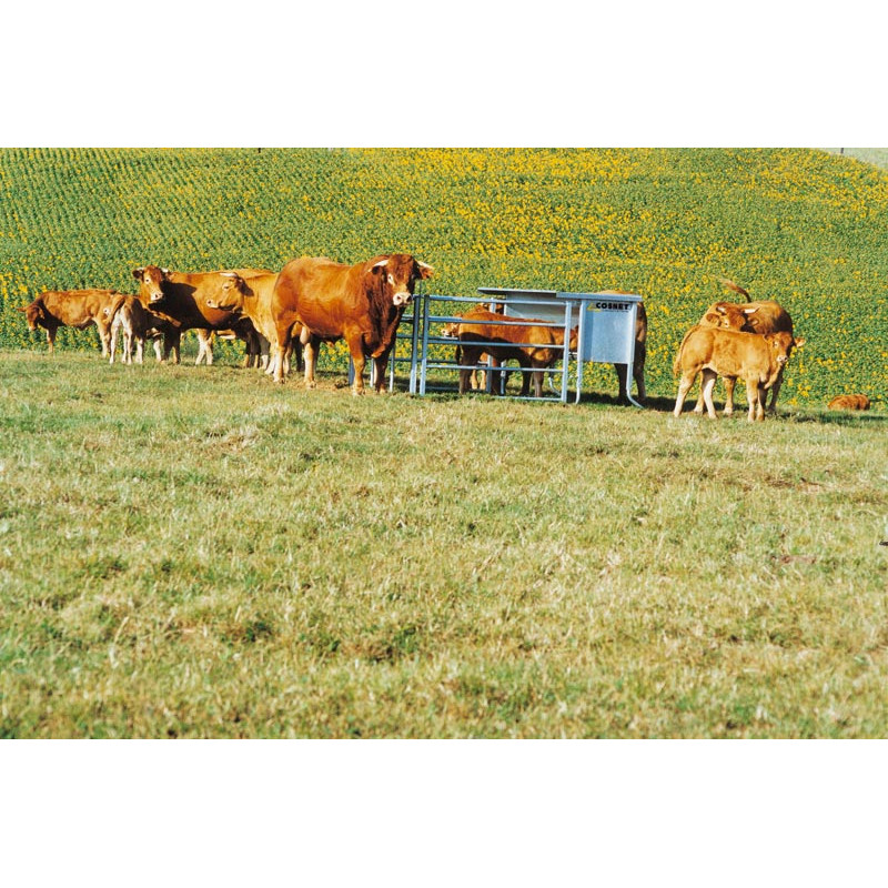 Scalable 3 m feeder - 1,000 l Scalable 3 m feeder - 1,000 l