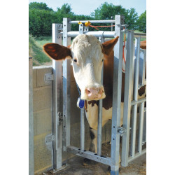 Stall headlock panel Stall headlock panel