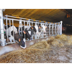 10 places/5 m JUNIOR COMFORT SR calf headlock panel without bucket holder