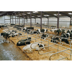 On-feet cubicle to embed