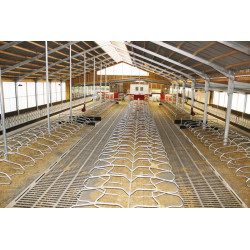 Single foot on cubicle divider on a mounting plate for adult cows