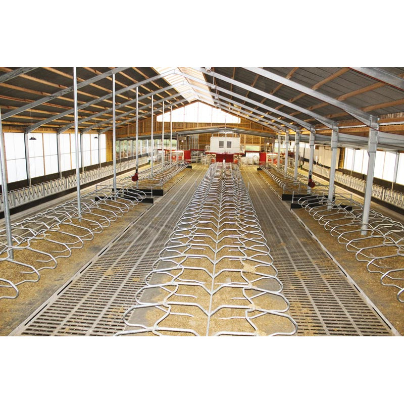 Single foot on cubicle divider on a mounting plate for adult cows