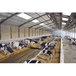 Ø 49 mm curved wither bar for cubicles Ø 49 mm curved wither bar for cubicles