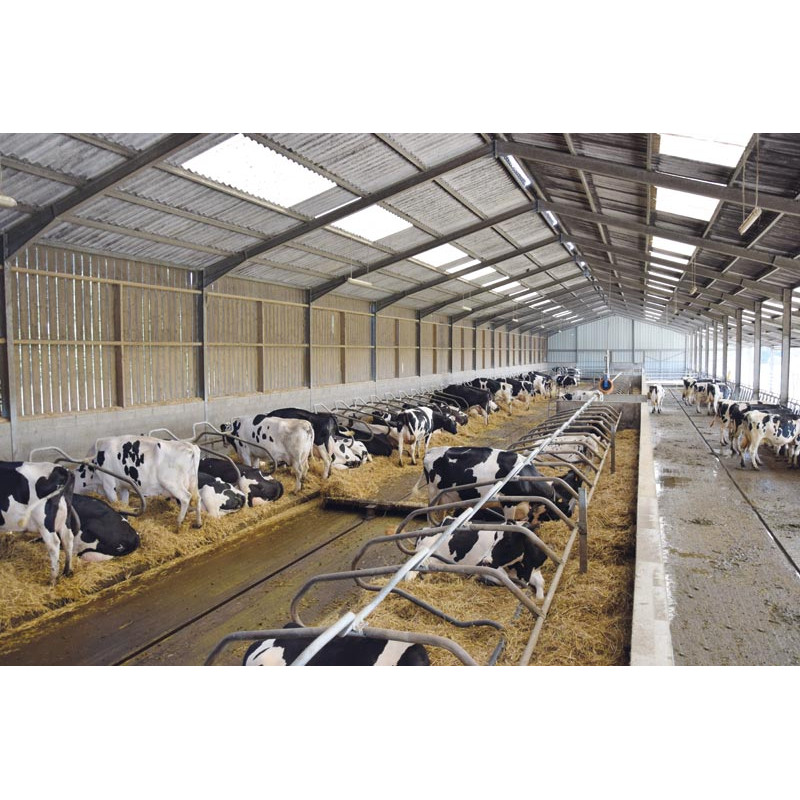 Ø 49 mm curved wither bar for cubicles Ø 49 mm curved wither bar for cubicles