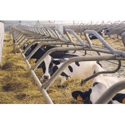 Ø 49 mm curved wither bar for cubicles Ø 49 mm curved wither bar for cubicles