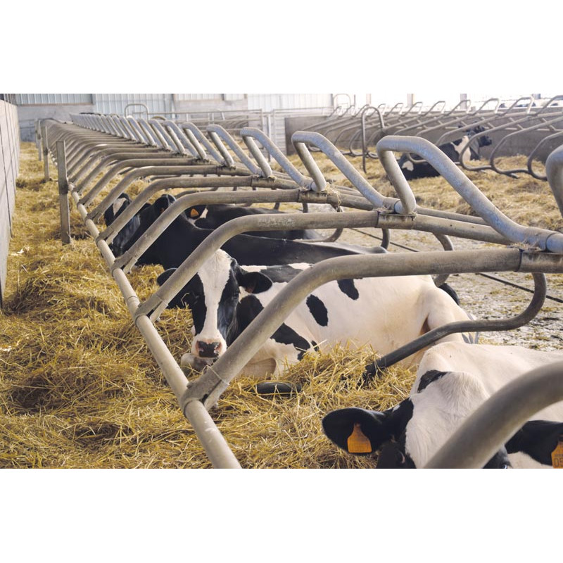 Ø 49 mm curved wither bar for cubicles Ø 49 mm curved wither bar for cubicles