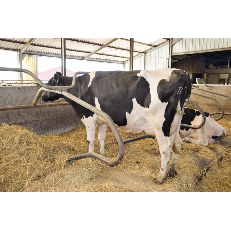 Ø 49 mm curved wither bar for cubicles Ø 49 mm curved wither bar for cubicles