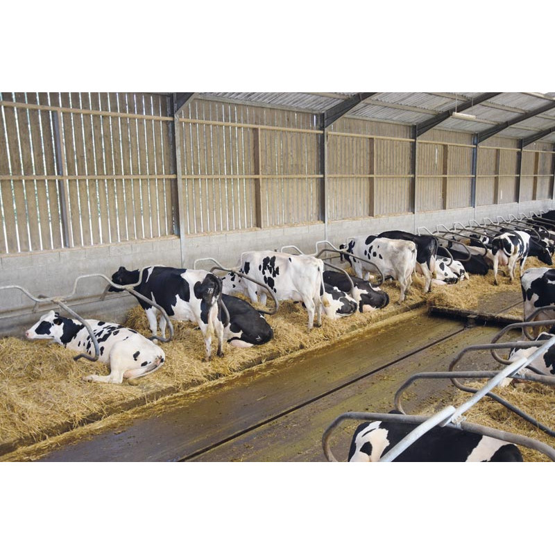 Ø 49 mm curved wither bar for cubicles Ø 49 mm curved wither bar for cubicles