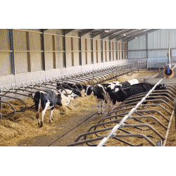 Ø 49 mm curved wither bar for cubicles Ø 49 mm curved wither bar for cubicles