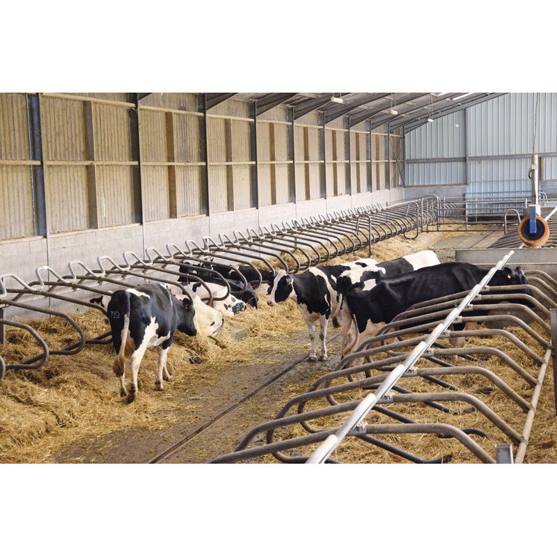 Ø 49 mm curved wither bar for cubicles Ø 49 mm curved wither bar for cubicles