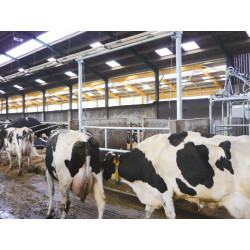 2.30/3.40 m lifting partition barrier for cubicle corridor