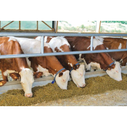 2-rail (Ø 76 mm) feed panel - 4 m