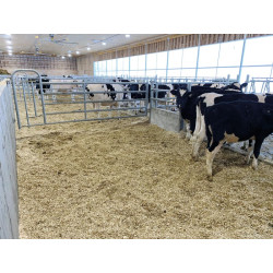 5-rail front end with man passage gate for stall barrier H. 1.15 m