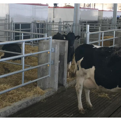 Wall plate "EASYLOCK" Wall plate "EASYLOCK"