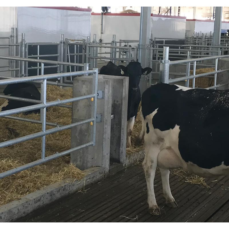 Wall plate "EASYLOCK" Wall plate "EASYLOCK"