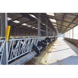 CABON System starting kit CABON System starting kit