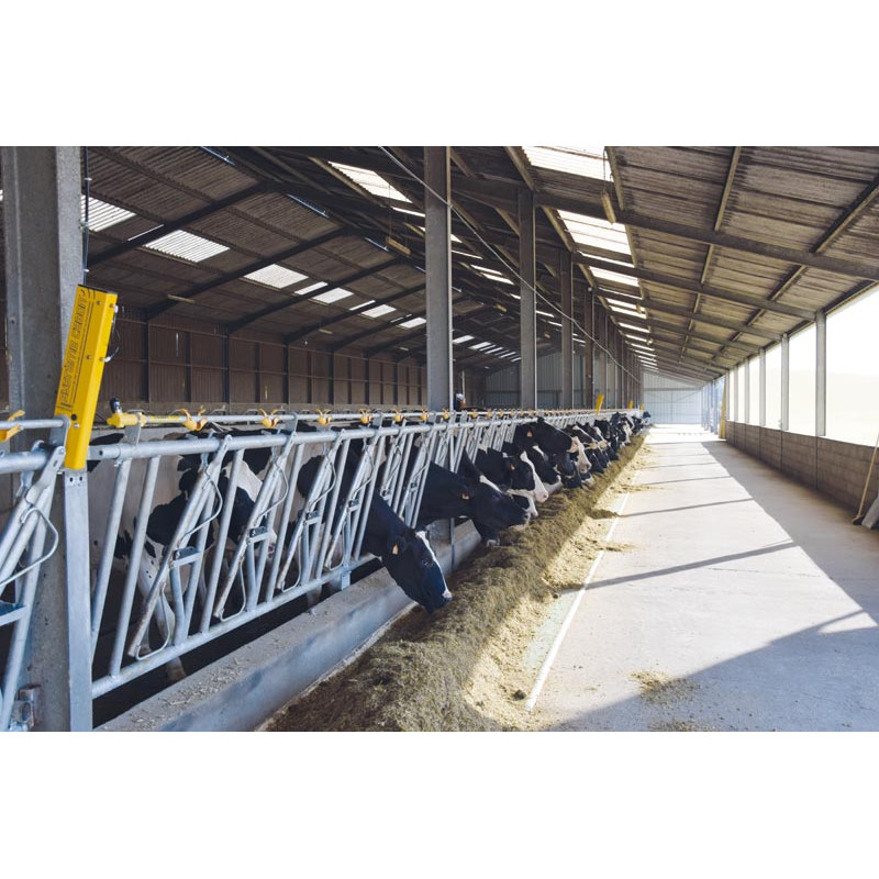 CABON System starting kit CABON System starting kit