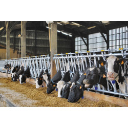 Comfort SR headlock panel - 5 m/7 spaces