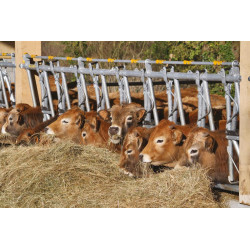 Comfort SR headlock panel - 5 m/7 spaces