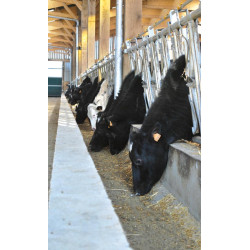 Comfort SR headlock panel - 5 m/7 spaces