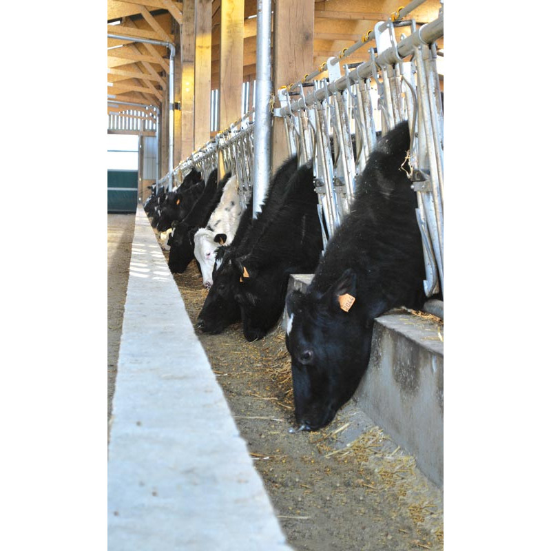 Comfort SR headlock panel - 5 m/7 spaces