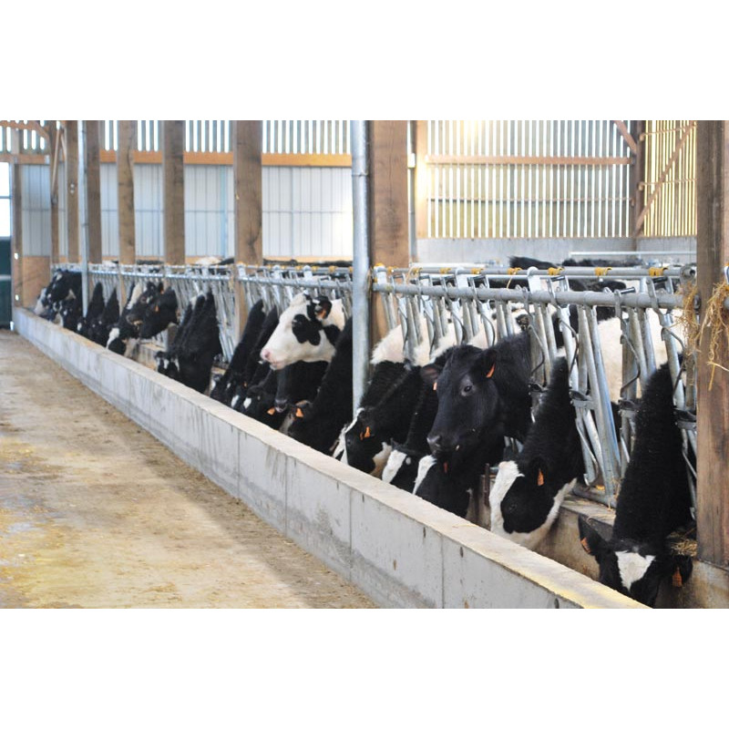 Comfort SR headlock panel - 5.40 m/8 spaces Comfort SR headlock panel - 5.40 m/8 spaces