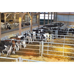 Comfort LR headlock panel - 4 m/5 spaces Comfort LR headlock panel - 4 m/5 spaces