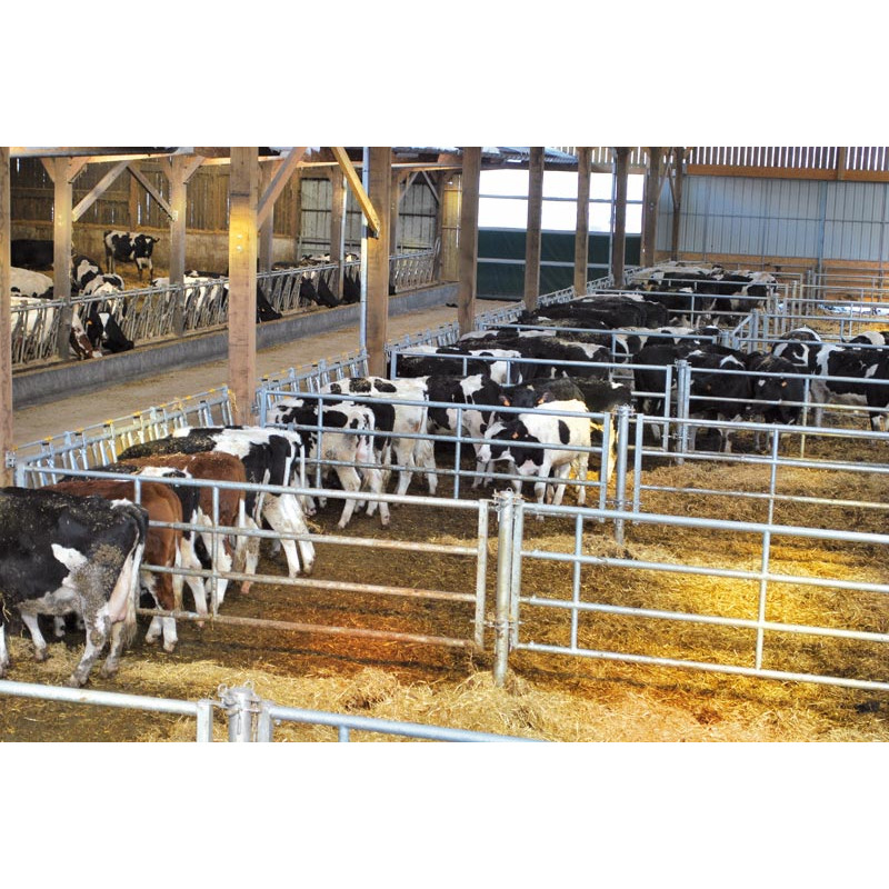 Comfort LR headlock panel - 4 m/5 spaces Comfort LR headlock panel - 4 m/5 spaces