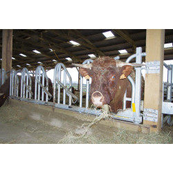 Swedish PRO yoke panel - 4 m/5 spaces Swedish PRO yoke panel - 4 m/5 spaces