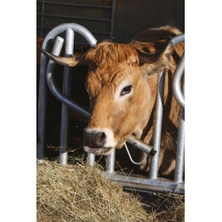 Swedish PRO yoke panel - 4 m/5 spaces Swedish PRO yoke panel - 4 m/5 spaces