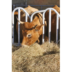 Swedish PRO yoke panel - 4 m/5 spaces Swedish PRO yoke panel - 4 m/5 spaces