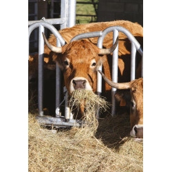 Swedish PRO yoke panel - 4 m/5 spaces Swedish PRO yoke panel - 4 m/5 spaces