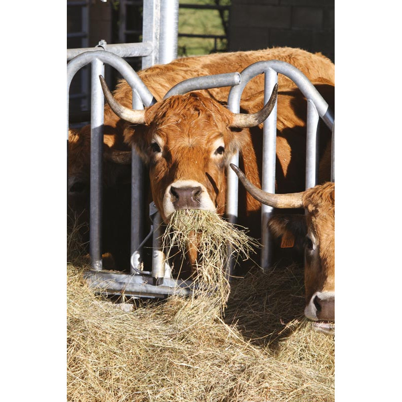 Swedish PRO yoke panel - 4 m/5 spaces Swedish PRO yoke panel - 4 m/5 spaces