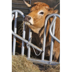 Swedish PRO yoke panel - 4 m/5 spaces Swedish PRO yoke panel - 4 m/5 spaces