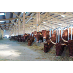 Swedish PRO yoke panel - 4 m/5 spaces Swedish PRO yoke panel - 4 m/5 spaces