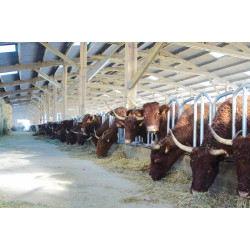 Swedish PRO yoke panel - 4 m/5 spaces Swedish PRO yoke panel - 4 m/5 spaces