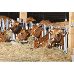 Swedish PRO yoke panel - 5 m/7 spaces