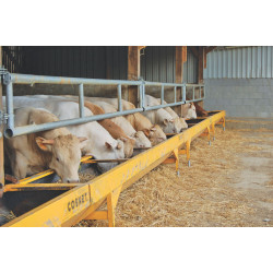 Reinforced 3 x 0.60 m painted feed trough Reinforced 3 x 0.60 m painted feed trough
