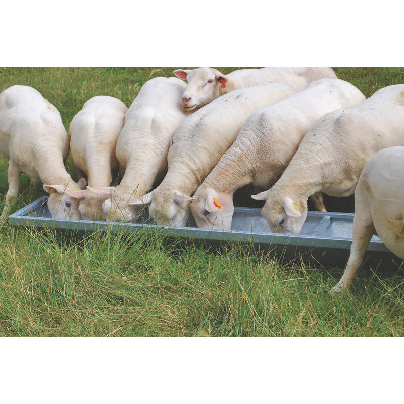 Feed trough for small animals - 2,45 x 0,33 m Feed trough for small animals - 2,45 x 0,33 m