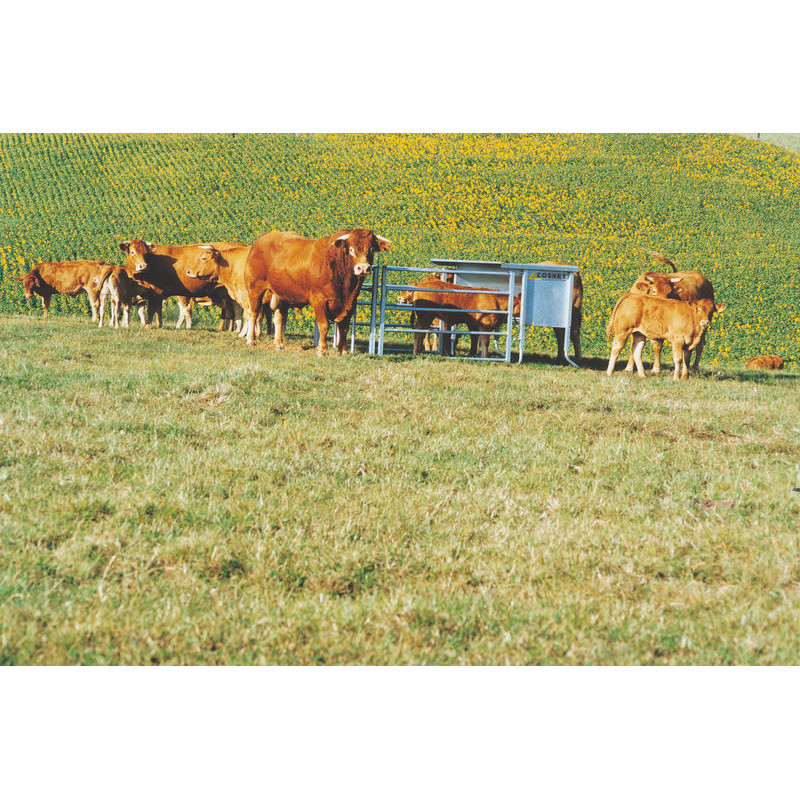 Scalable 3 m feeder - 1,000 l