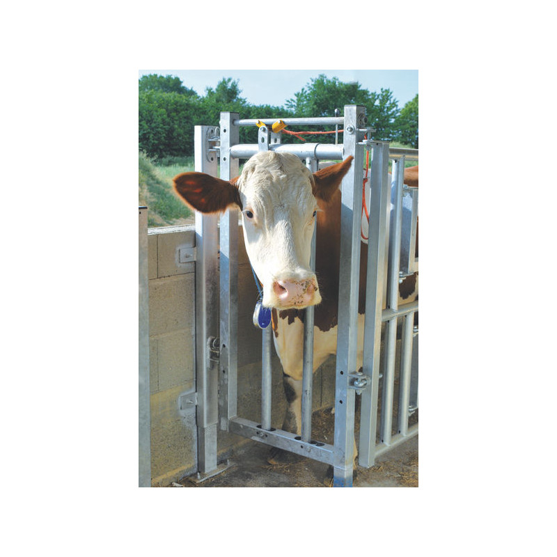 Stall headlock panel Stall headlock panel