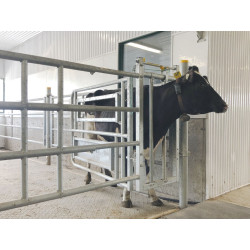 Stall headlock panel Stall headlock panel